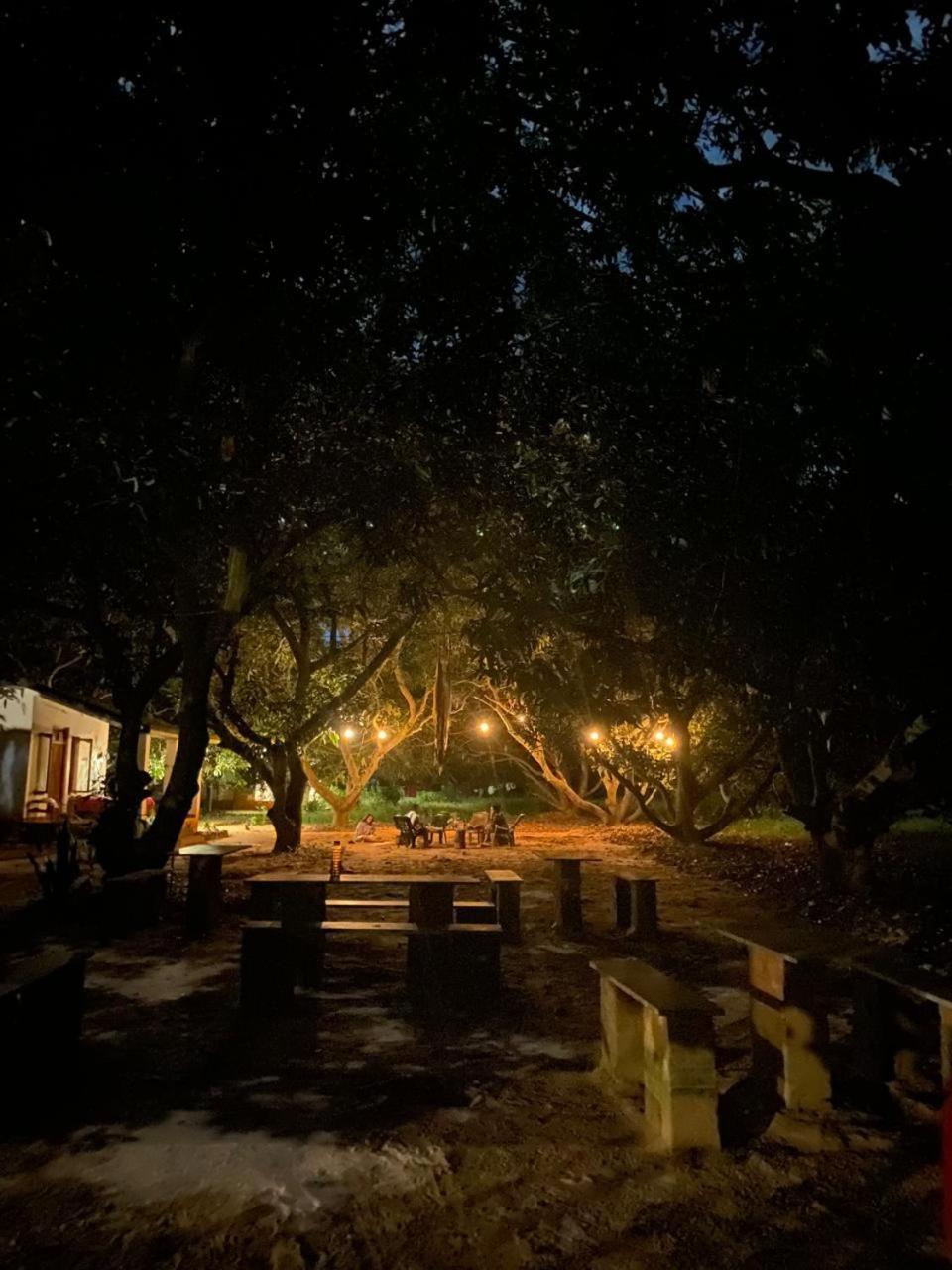 Art Forest Puducherry Eksteriør billede