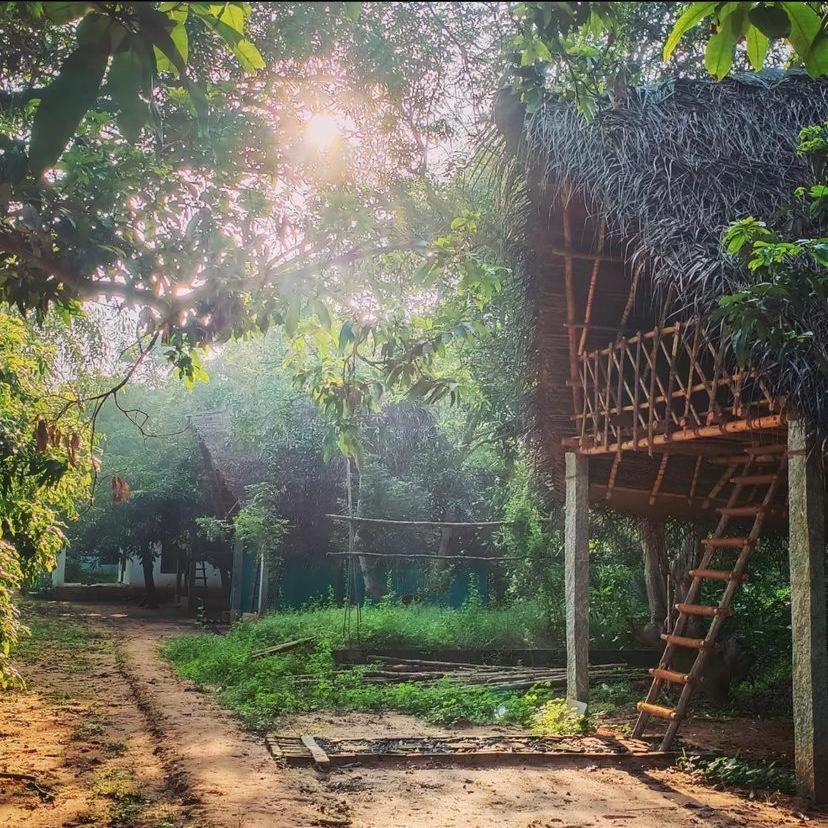 Art Forest Puducherry Eksteriør billede