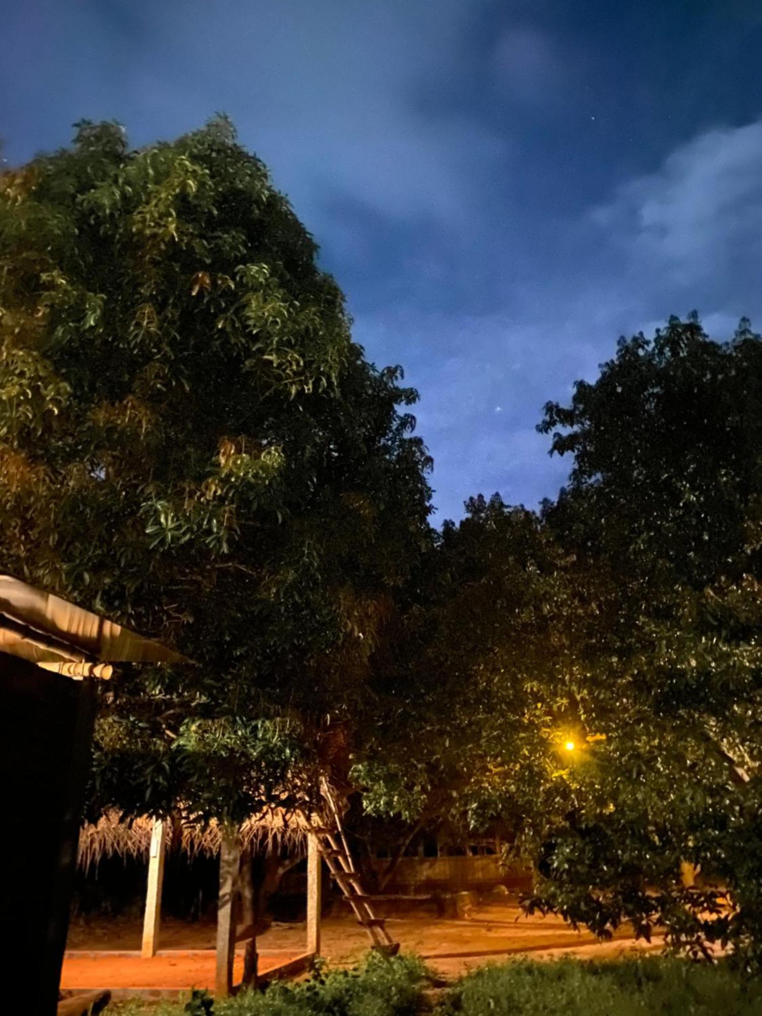 Art Forest Puducherry Eksteriør billede
